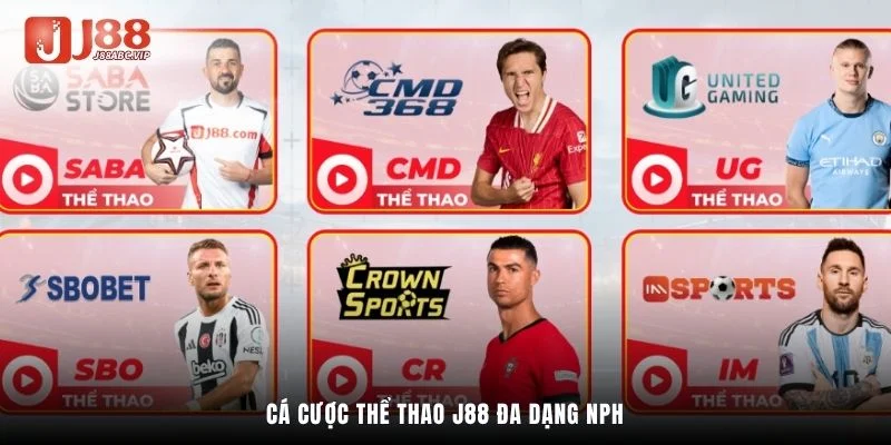 Cá cược thể thao J88 đa dạng NPH