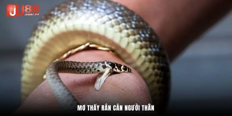Mơ thấy rắn cắn người thân